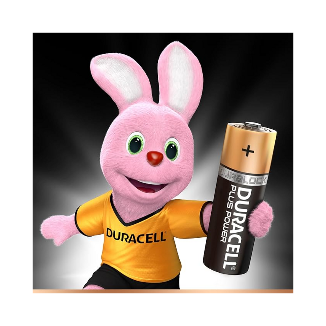 Duracell 金霸王 Plus Power 碱性电池（4 粒装）